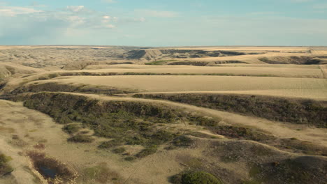 Golden-grass-landscape-of-Saskatchewan-Landing-with-river-valley,-aerial