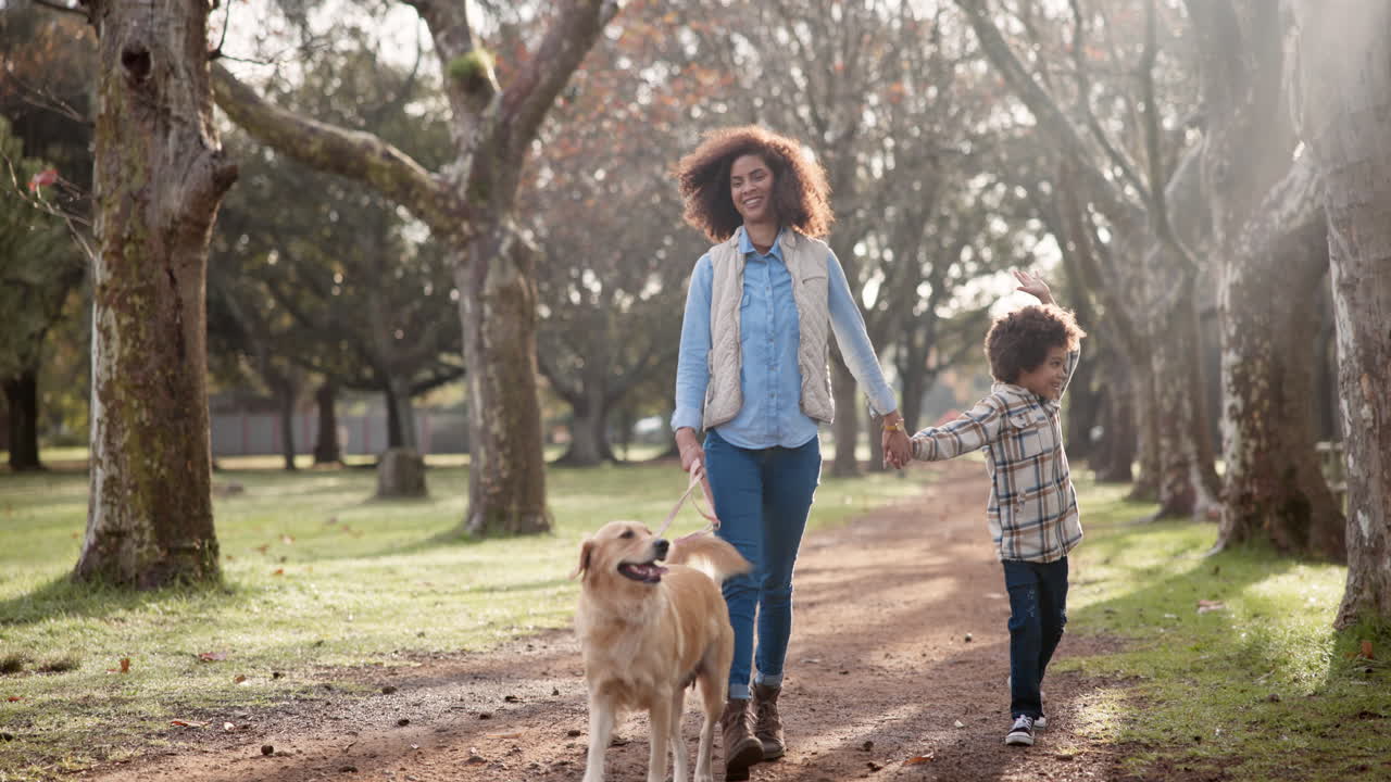 Family walking dog in park