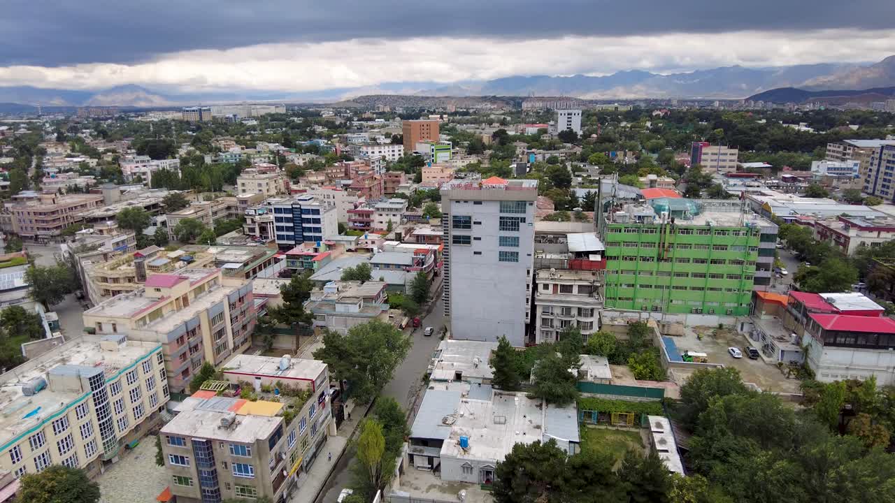 árboles en crecimiento 1 púrpura