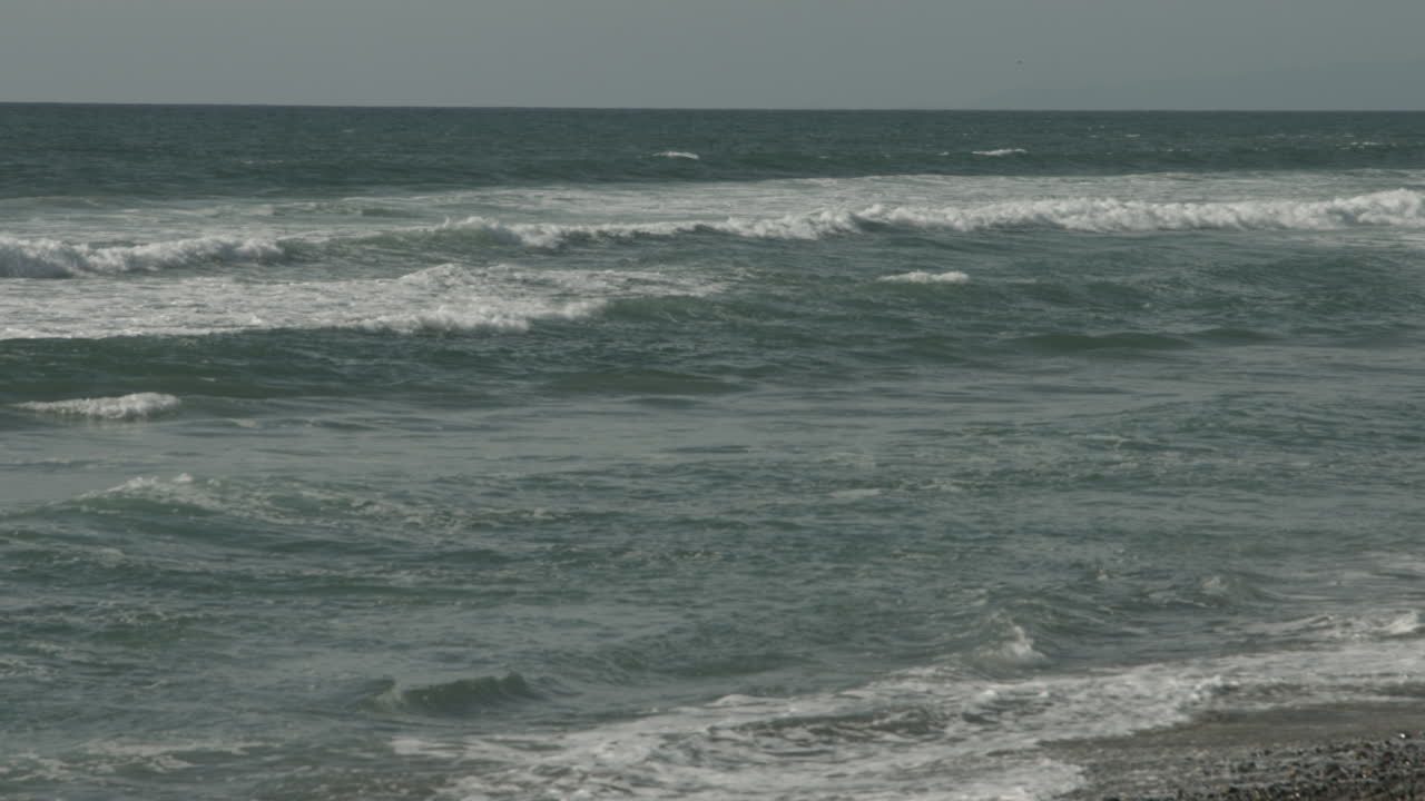 파도가 토리 파인스 주립 공원의 해변에 부히고