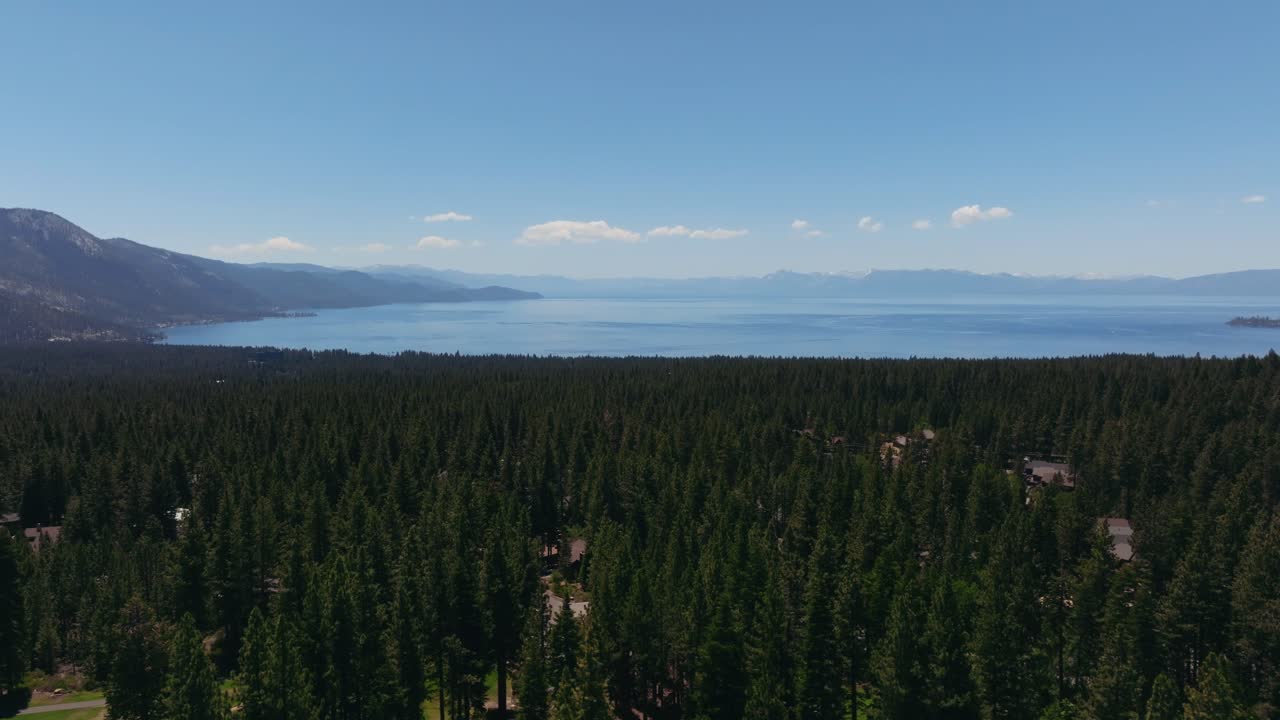 Panorerende droneoptagelse fra en fyrreskov med udsigt over Lake Tahoes rolige blå vand.