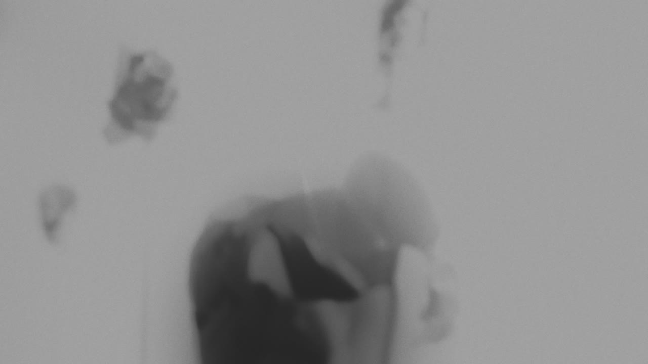 Broken mannequin head shells in xray