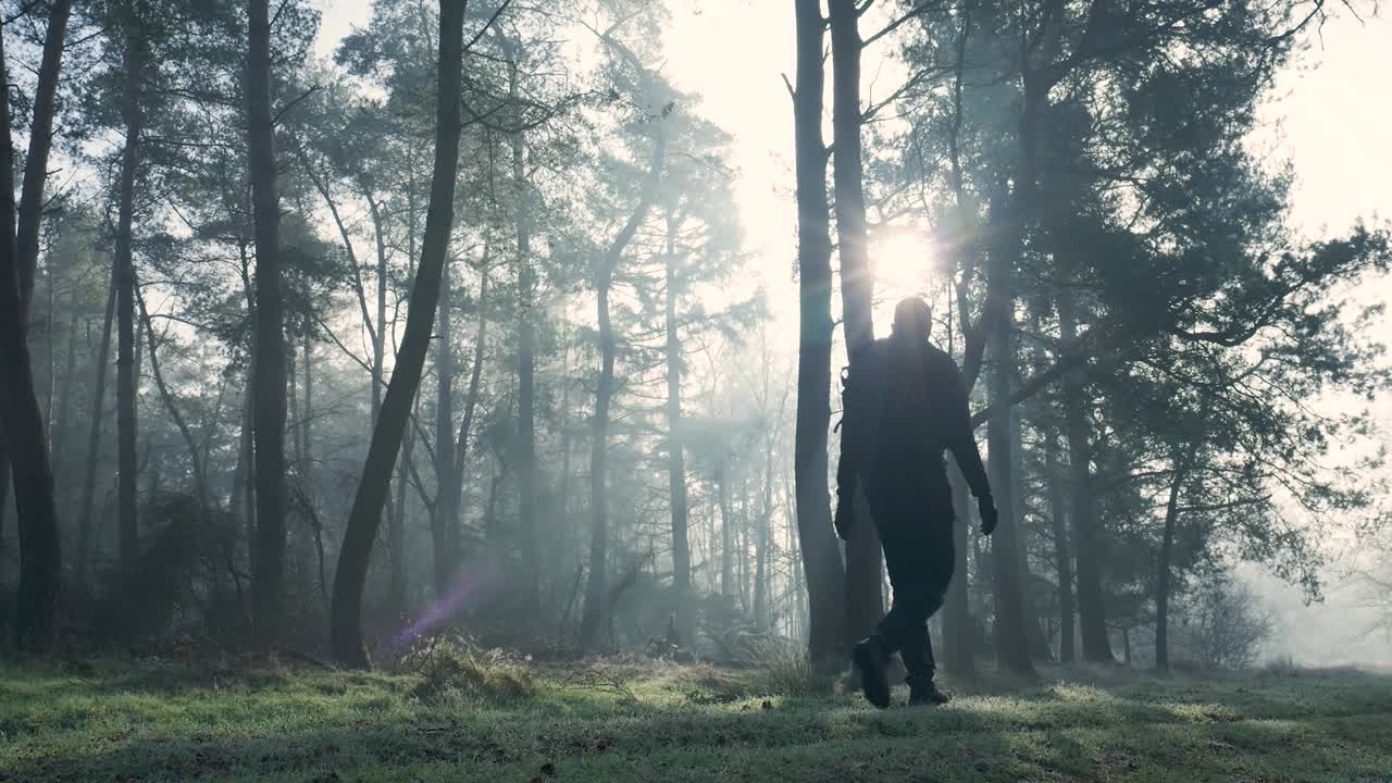 Hiker in a Foggy Forest
