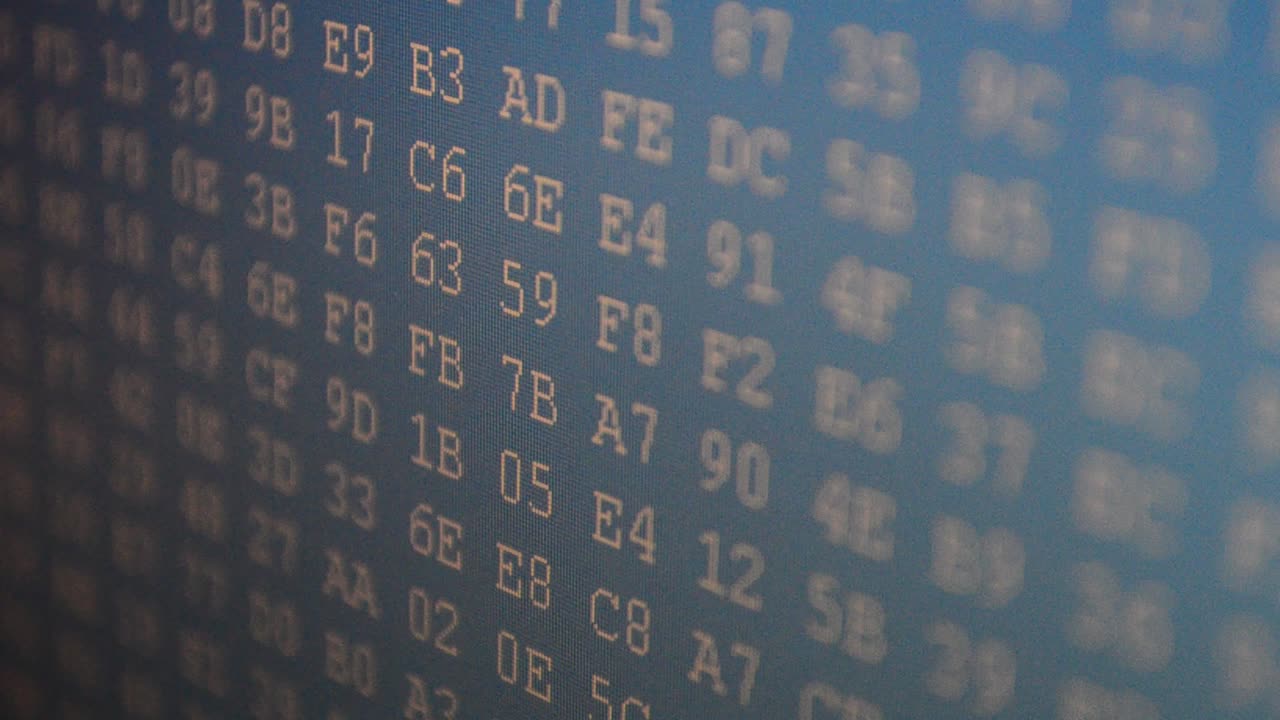 Code binary on the monitor. Shooting of the binary. Hexadecimal program code on screen. Animated background of moving binary code numbers