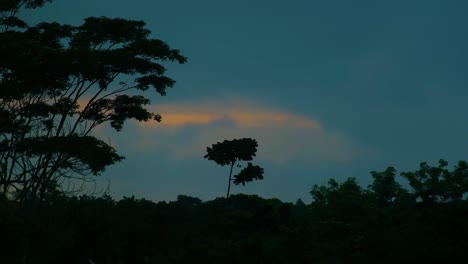 Dramatic-Storm-Clouds-Coming-Darkening-Tropical-Forest,-Timelapse