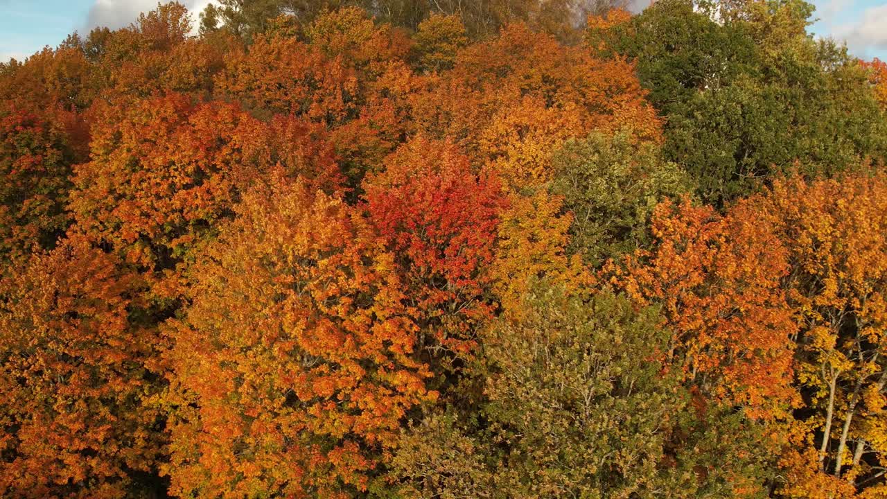 Aerial view of a lake surrounded by a colorful autumn forest, with golden, orange, and green trees glowing under a bright blue sky with scattered clouds