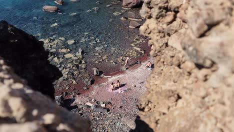people enjoying a secluded rocky cove with clear water