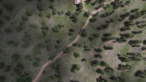 Birds-Eye-Aerial-View-of-Clouds-Shadows-Moving-Above-Green-Pastures,-Conifer-Trees-and-Countryside-Road