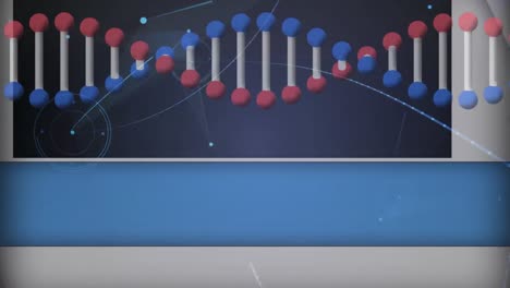 Animation-of-dna-strand-spinning-with-network-of-connections