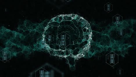 animation of human brain and dna strand over data processing