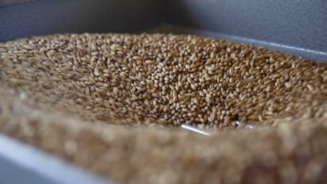 high definition shot of malted barley falling into grinder