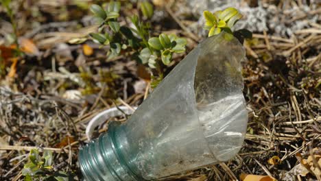 una parte de la botella de vidrio rota en estonia