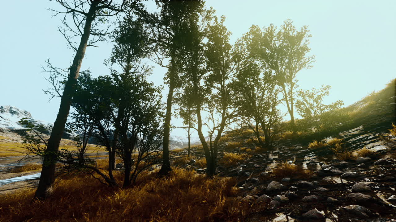 hermosas rocas con pocos árboles a la luz del día en nepal