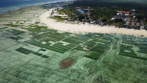 Paisaje-Costero-Escénico-De-Granja-De-Algas-En-Nusa-Lembongan,-Toma-Circular-Aérea