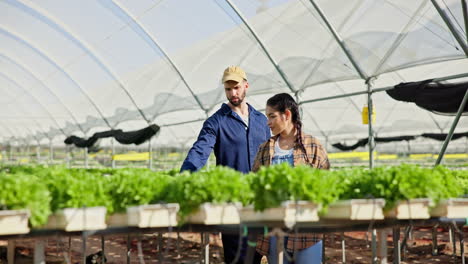 farmers growing produce in a greenhouse