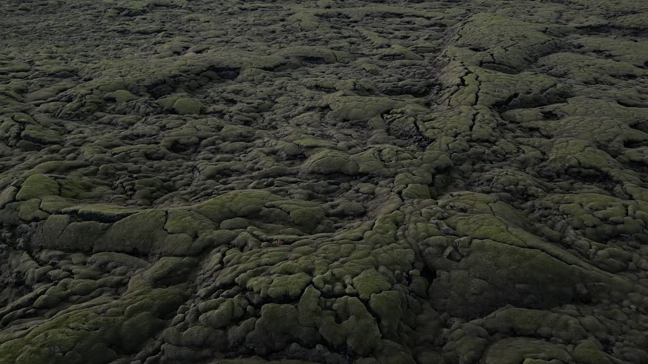 rocas de musgo en la vasta tierra del sur de islandia durante el otoño, aero