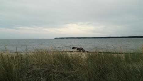 beautiful-beach-on-the-coast-of-the-ocean