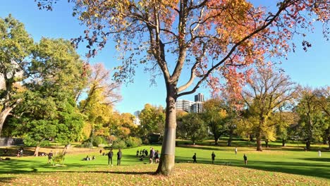 people enjoying a sunny day in the park