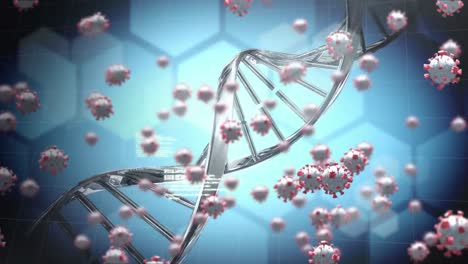 animation of macro coronavirus covid-19 cells spreading over dna