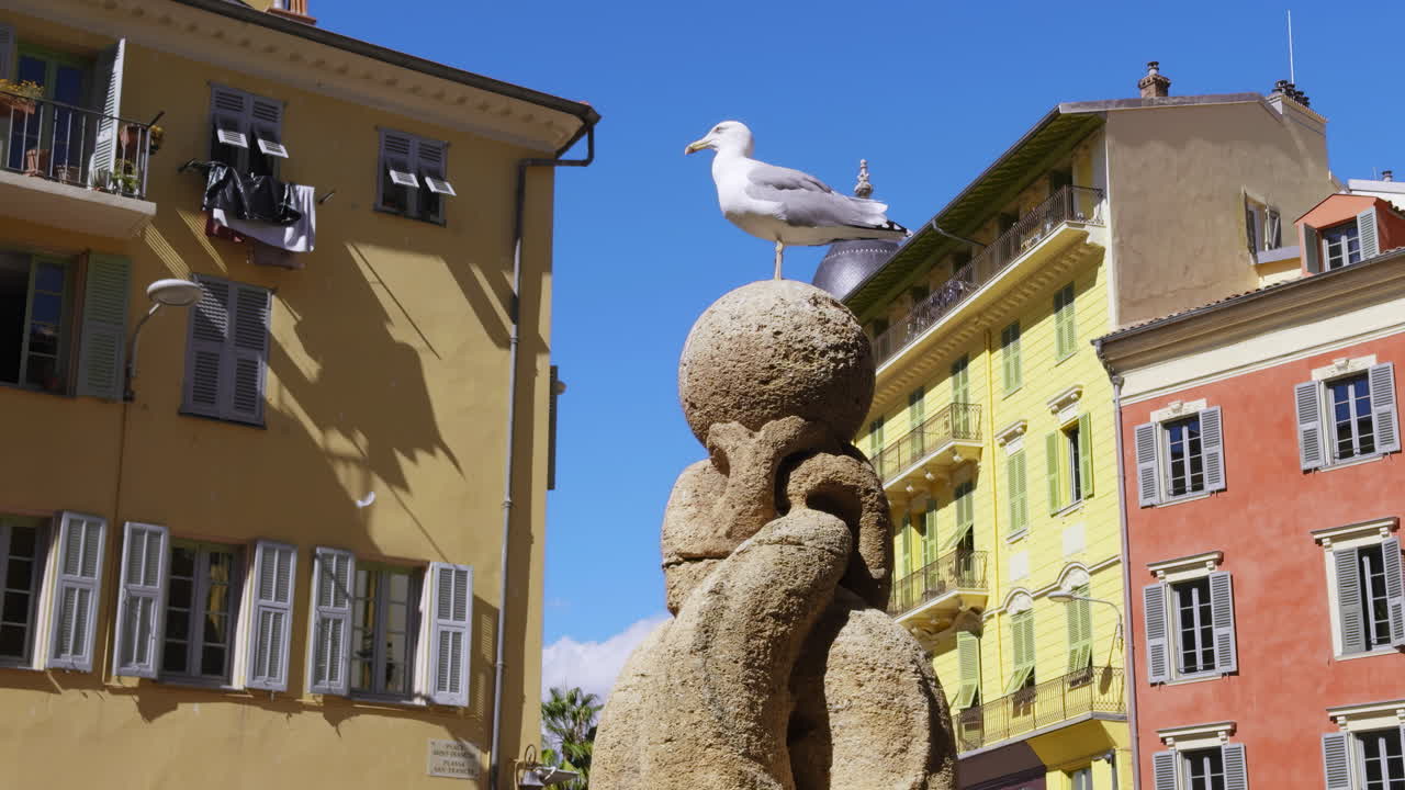 Colorful European Cityscape with Seagull on Fountain