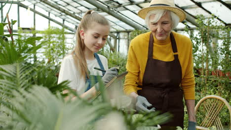 grandmother and granddaughter working in a greenhouse