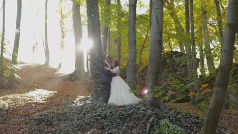 groom with bride in the forest park. wedding couple. happy family