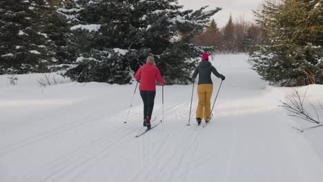 two female friends, cross country skiing in homer alaska