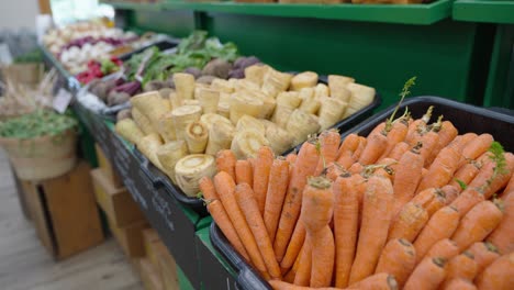 Carrots-and-parsnips-on-display-in-a-grocery-store