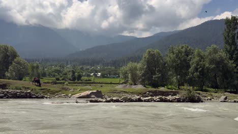 sunmarg valley, exploring the tranquil fresh waters of river sindh, boating bliss, forest trails, lush meadows and scenic himalayan landscapes
