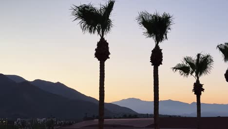 static shot from renaissance hotel in palm springs showing palm trees in silhouette and surrounding mountains at sunset