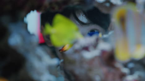 asian girl looking at fish in aquarium curious child watching colorful sea life swimming in tank learning about marine animals in underwater ecosystem inquisitive kid at oceanarium