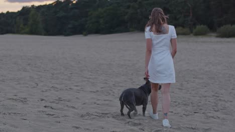 young woman with a american staffordshire terrier walking away from camera through beautiful sand dunes at sundown