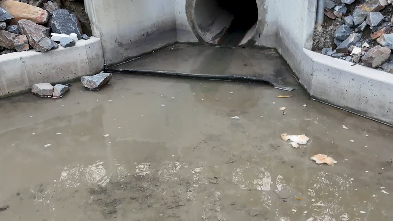 Acqua piovana torbida scorre attraverso lo sbocco di un canale sotterraneo in cemento in un canale di drenaggio pieno di sedimenti.