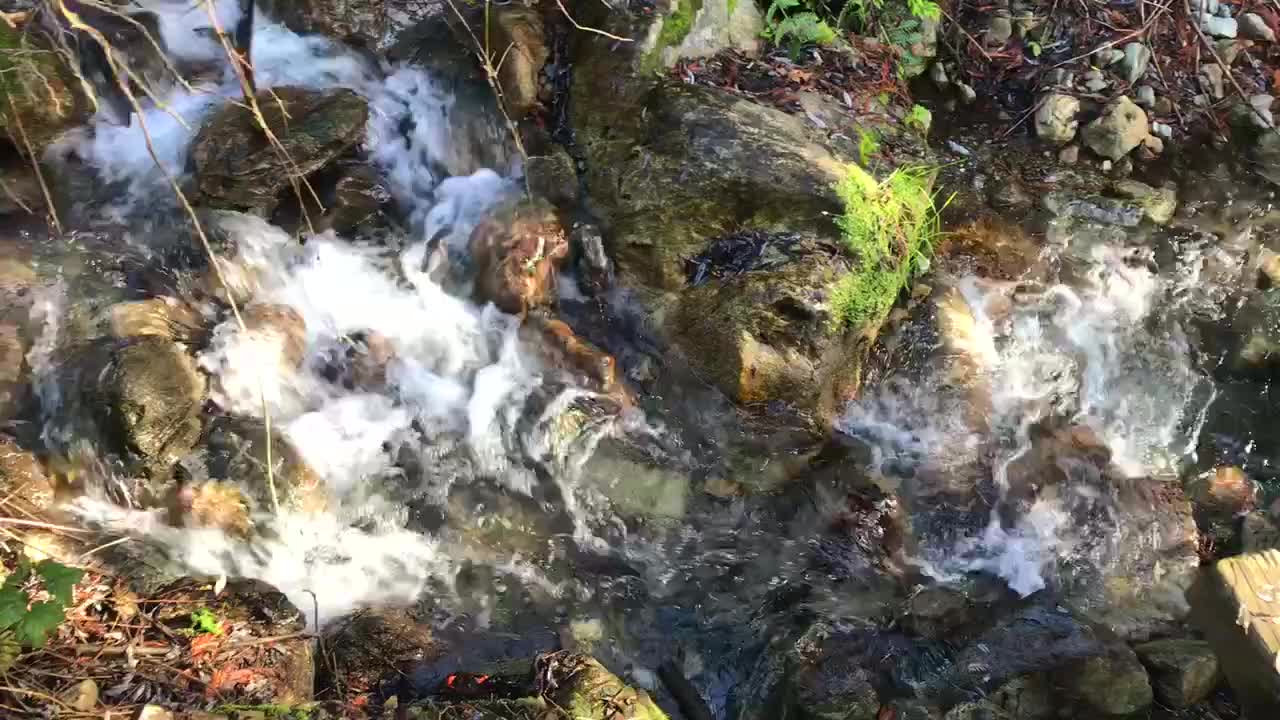 Fresh mountain spring water flowing down a fast moving stream in Big Sur, California 