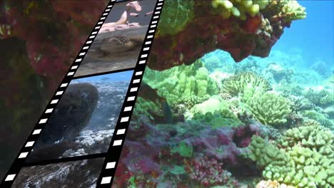 tira de película y bajo el agua