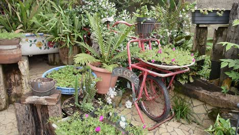 old bicycle decorated with flowers and plants in a backyard garden