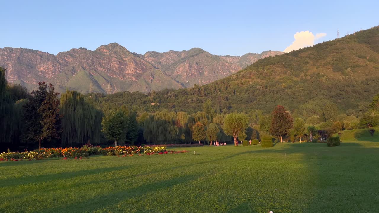 Beautiful Mountain Scenery with a Lush Garden