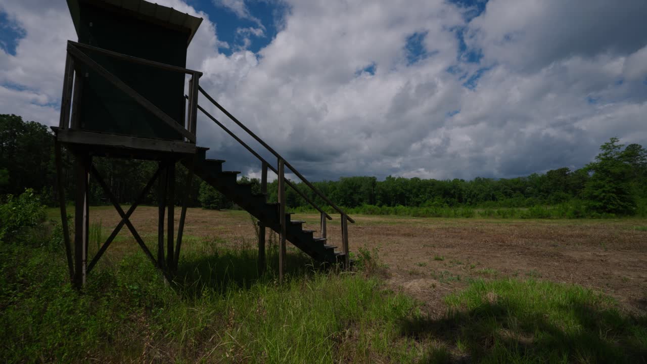ciervo de pie mirando hacia fuera sobre la parcela de alimentos en un tramo de tierra