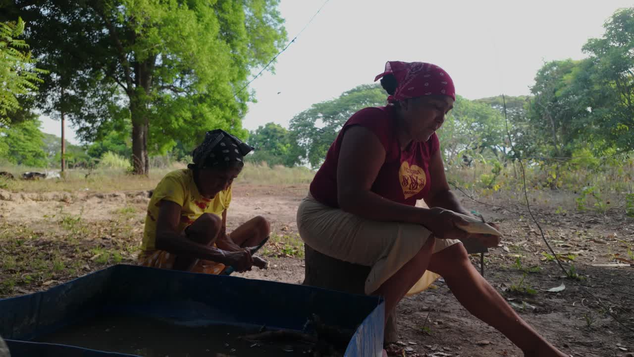 women working in the fields, harvest, manual labor , Dawn in Los Llanos Venezuela