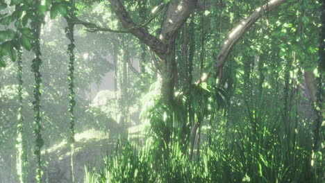 lush green jungle with sunlight filtering through dense foliage in morning