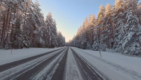 rural winter scenic travel commute with sun kissed forest trees pov drive