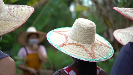 Lehrer-Unterrichtet-Draußen-Gartenunterricht-Für-Klassen-Von-Leuten,-Die-Strohhüte-Im-Regen-Im-Regen-In-Bangkok-Thailand-Zeitlupe-Tragen