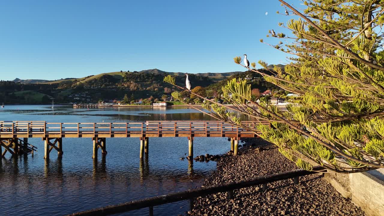 Aerial footage captures Akaroa's tranquil pier and waterfront under clear skies, highlighting natural beauty and calm waters