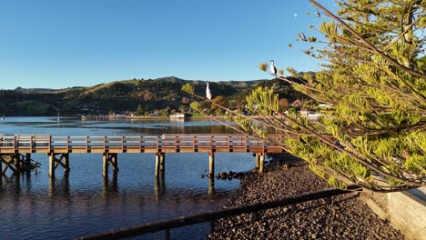 aerial footage captures akaroa's tranquil pier and waterfront under clear skies, highlighting natural beauty and calm waters