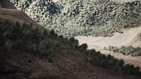 Gobi-Desert-landscape-in-Mongolia