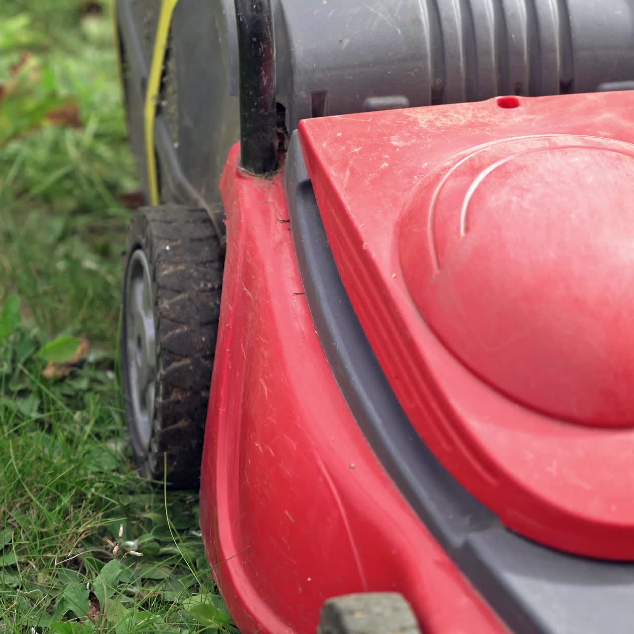 Gardening activity. Green grass in the garden and a worker with lawn mower. Electric machine for mowing grass. Close-up.