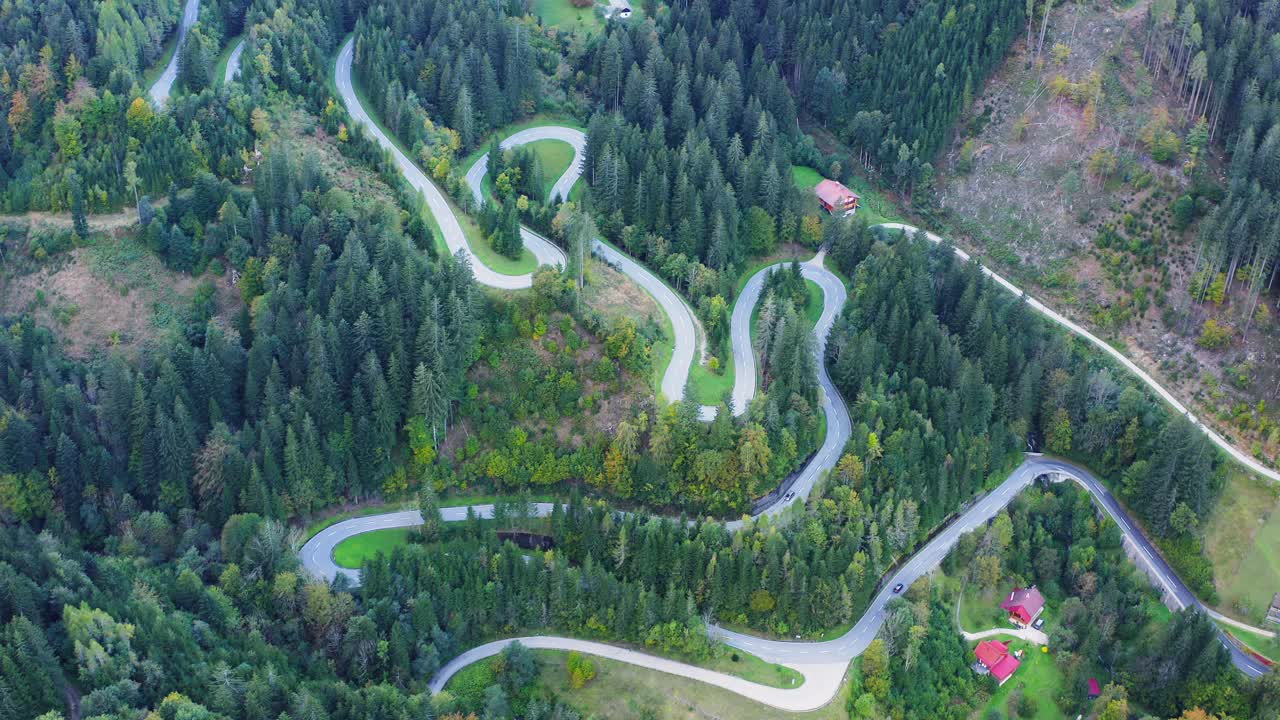 camino sinuoso a lo largo de un denso bosque verde, eisenkappel-vellach, austria