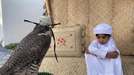 arab child sitting down in traditional outfit kandura looking at falcon