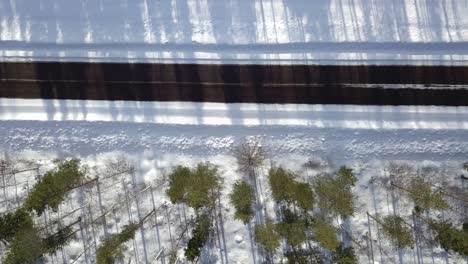 straight down camera moving left to right above the black road middle of white snow