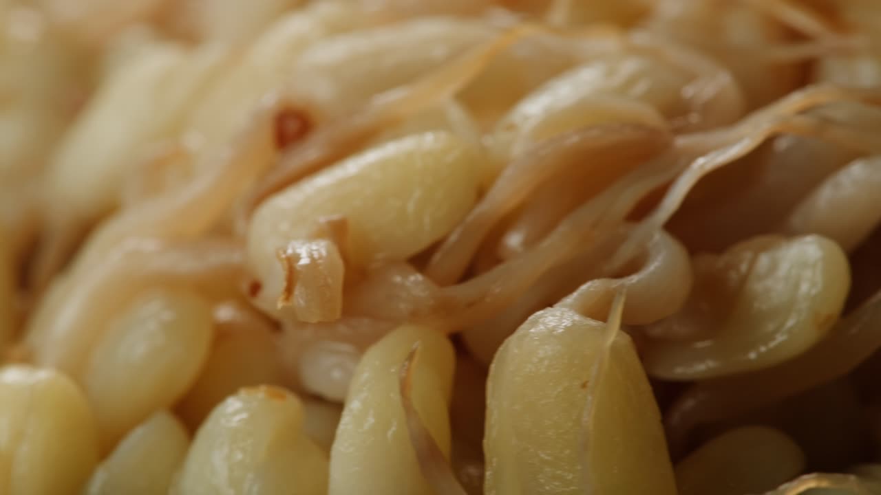Salted soybean fermented in jar, chinese soy production, marinated food, germinated soy close up in cafe restaurant.